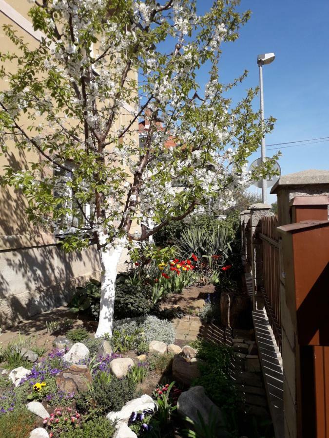 Dreamy Apartment براغ المظهر الخارجي الصورة